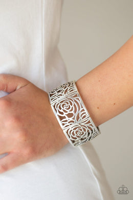 Victorian Variety - Silver Paparazzi